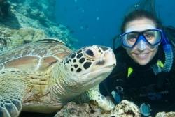 Diving in the Red Sea