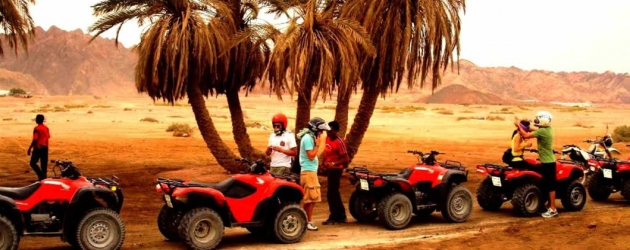 Safari no Deserto