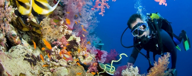 Diving Time,Sharm El Sheikh