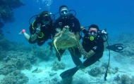 Diving at Sharm El Sheikh