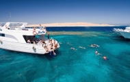 Discover Red Sea Tour