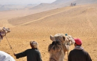 Camel Ride