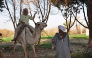 Camel Ride