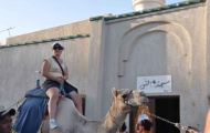 Camel Ride