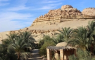 Oasis de Siwa