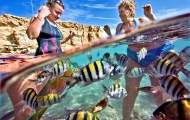Diving Time,Sharm El Sheikh